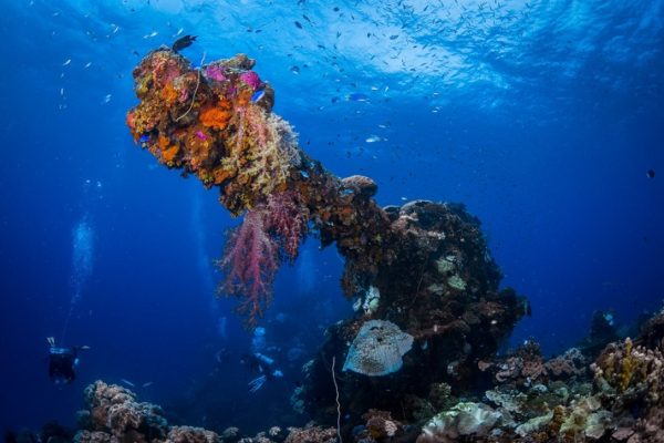 Chuuk Truk Lagoon The Dive Shop